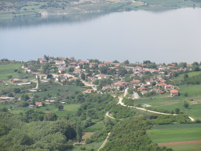 Cafe & Sweets " ΆΛΙΑ" - Αιανή