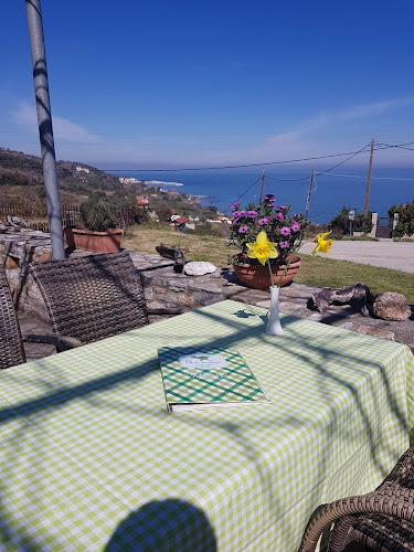 Opinii despre Paradies în Πολυδένδρι - Γαστρονομία και φιλοξενία