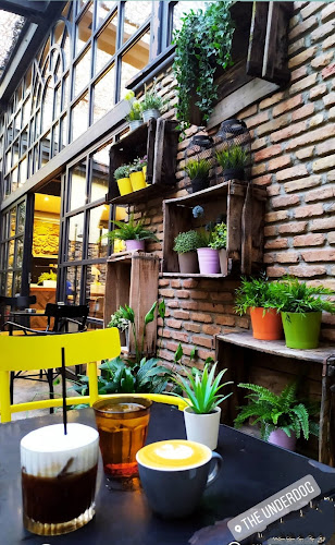 The Underdog® Flagship Store Thissio