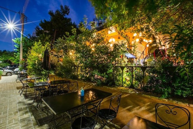 Comentarii opinii despre Il Trovatore