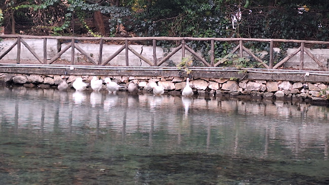 Μεγ. Αλεξάνδρου, Σέρρες 621 22