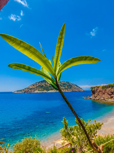 Nisos Café Bar - Ανάβυσσος