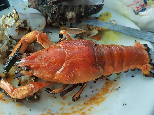 ΜΠΟΚΟΣ ΟΥΖΕΡΙ - Νέα Ιωνία