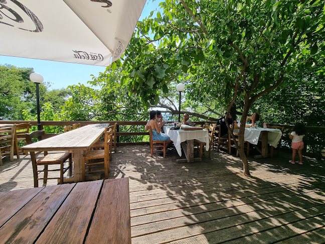 Opinii despre Dafni tavern în Δήμος Μεσσαπίων - Γαστρονομία και φιλοξενία