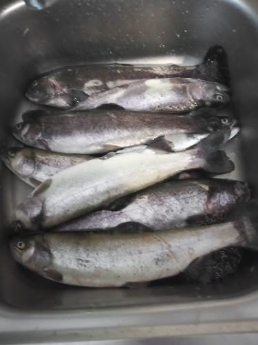 Στο Κύμα' - Βαρνάβας