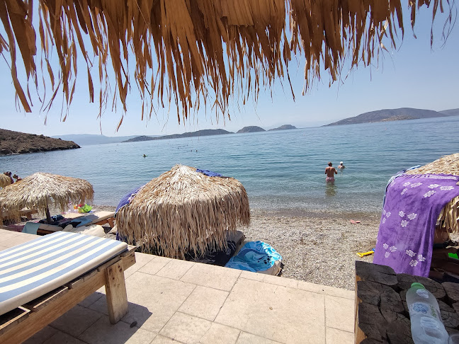 Comentarii opinii despre Fisheye on the beach