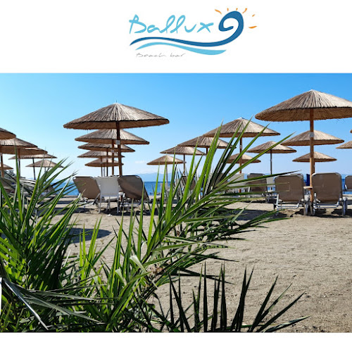 Ballux καρνάγιο - Κάτω Λεχώνια