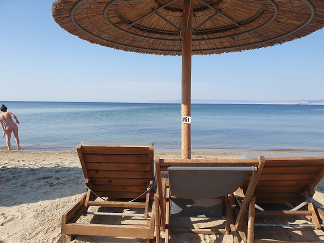 Comentarii opinii despre Nema Beach Bar