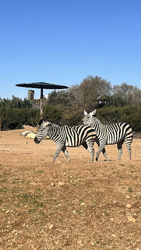 Zoo Café Restaurant - Γαστρονομία και φιλοξενία