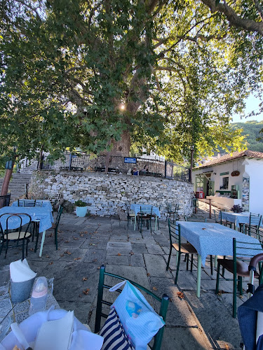 Πολύδροσο - Πουρί