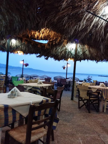 Comentarii opinii despre ΑΛΚΥΟΝΙΔΕΣ