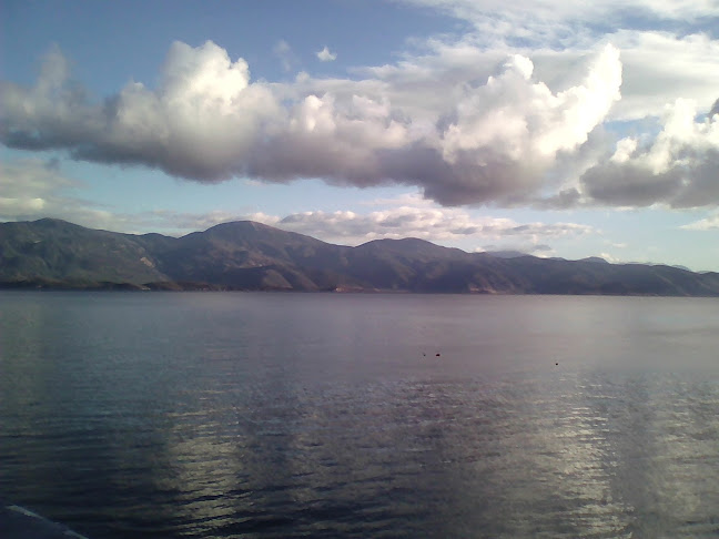 BALTAKI - Λόγγος