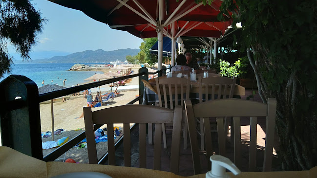 Εστιατόριο «Νούφαρα» - Γαστρονομία και φιλοξενία