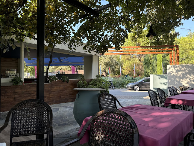 Opinii despre Filoxenia Restaurant în Διόν Όλυμπος - Γαστρονομία και φιλοξενία