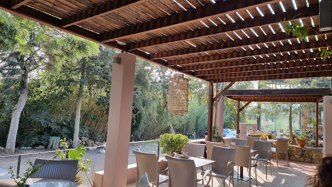 Enasma cafe - Γαστρονομία και φιλοξενία