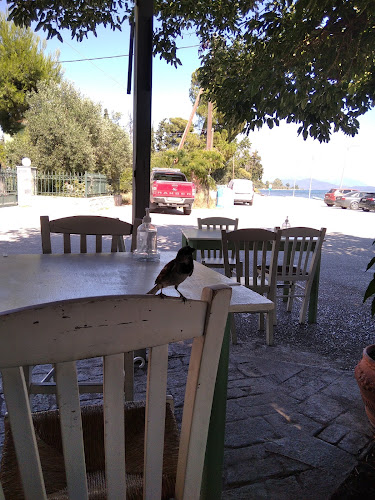 Comentarii opinii despre Το Λιμανάκι Πελασγία