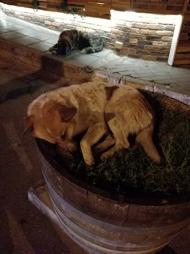 Opinii despre Liebe Café Bar în Νάουσα - Γαστρονομία και φιλοξενία