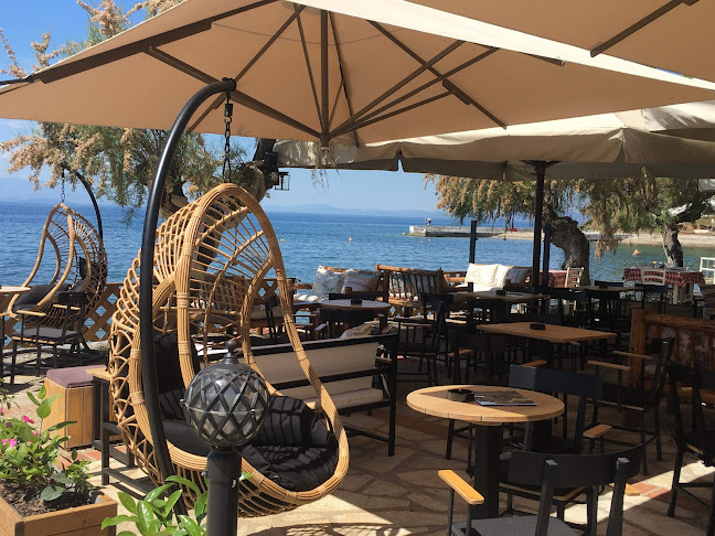 Mojito cocktail bar - Γαστρονομία και φιλοξενία