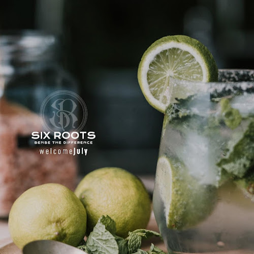 Comentarii opinii despre SixRoots