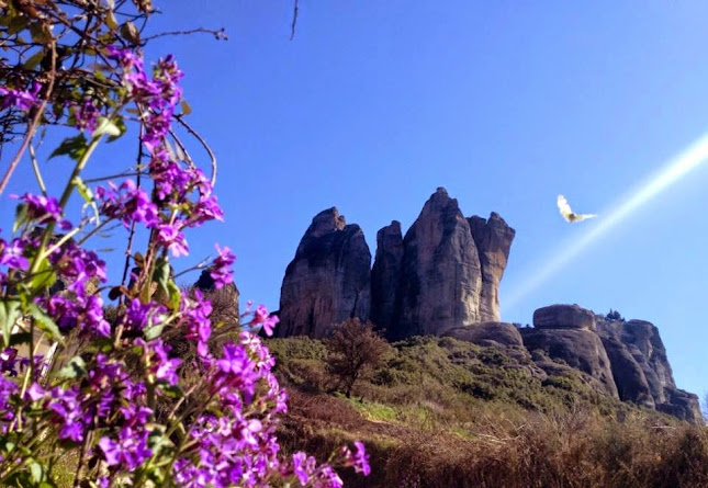 Τρικάλων 2, Καλαμπάκα 422 00