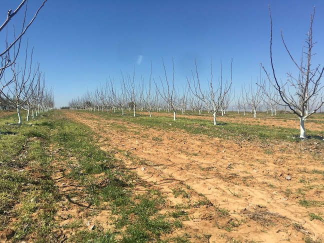 ΜΙΧΑΗΛ ΣΚΕΦΑΛΕ 6, Νιγρίτα 622 00