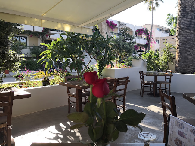 Finikas Taverna - Γαστρονομία και φιλοξενία