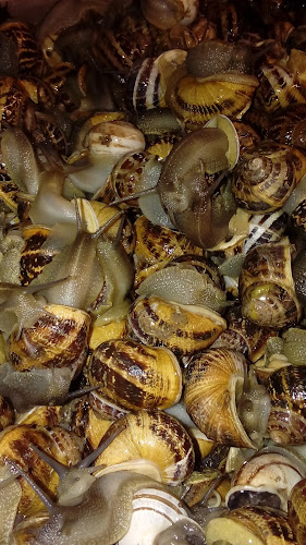 Opinii despre Το σπίτι του Πολιού în Αστέρι - Γαστρονομία και φιλοξενία