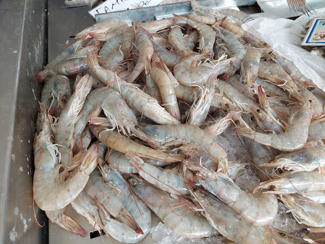 Ψαραγορά Διακοφτο /Fish market Diakopto - Διακοπτό