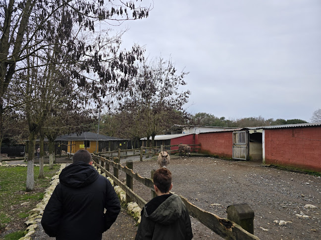 Αγρόκτημα Παπάκια - Γαστρονομία και φιλοξενία