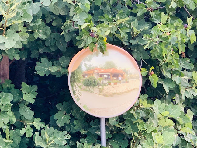 Opinii despre Ταβέρνα Δίας în Καμένα Βούρλα - Γαστρονομία και φιλοξενία