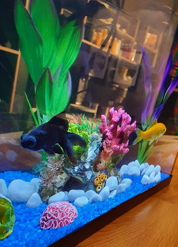 MAXIM Coffee & Sweet - Καινουργιο