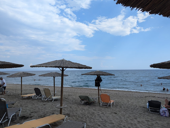 Comentarii opinii despre Ocean Cafe Bar Surf Club