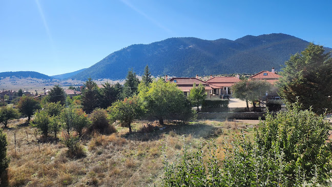 Comentarii opinii despre Micro Café