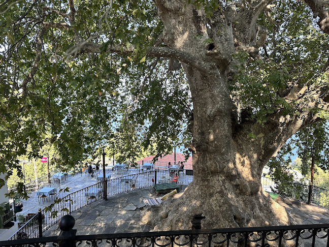 Πολύδροσο - Γαστρονομία και φιλοξενία