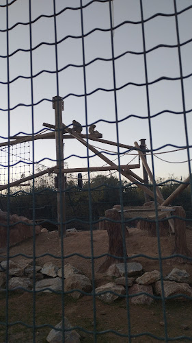 Zoo Café Restaurant