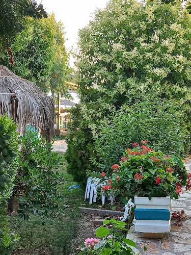 Comentarii opinii despre Palmbeach Club