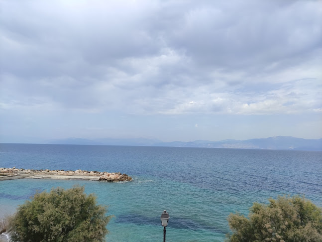 Κων/νου Καραμανλή, Ξυλόκαστρο 204 00