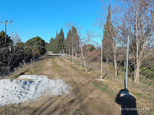 Opinii despre HELLENIC CATERING în Καλλιθέα - Γαστρονομία και φιλοξενία