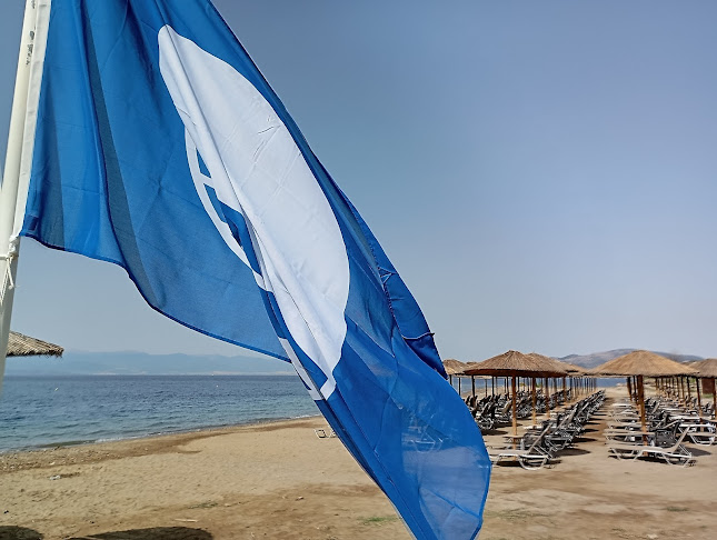 Κάτω Λεχώνια 373 00