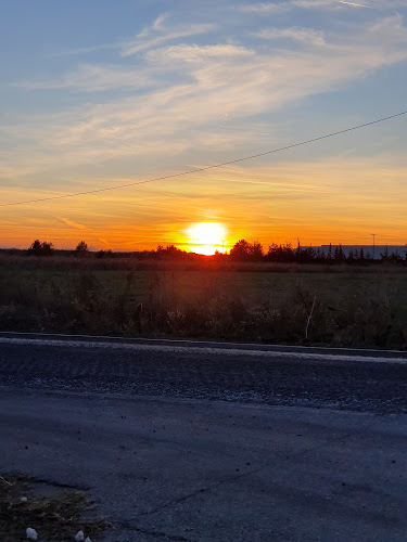 Del Monte Hellas - Πλατύκαμπος