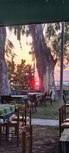 Opinii despre Καλαμαράκια Ο Πέτρος în Πάτρα - Γαστρονομία και φιλοξενία