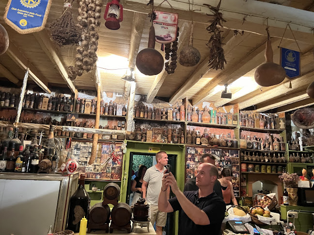 Κυνοπιάστες 490 84