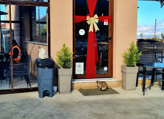 Λιόντας Καφέ Πρωινό Γλυκό - Αντιφίλιπποι