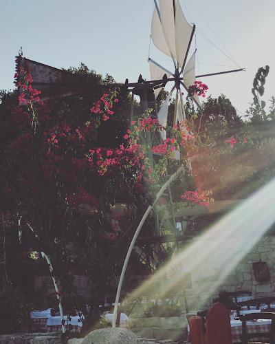 Comentarii opinii despre Ταβέρνα Μύλος