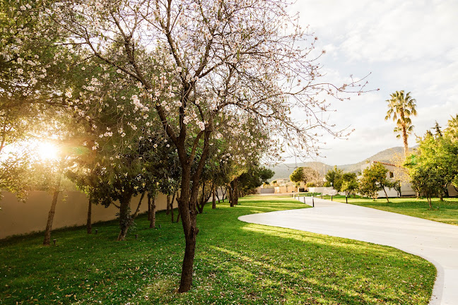 Comentarii opinii despre Κτήμα Cataleya