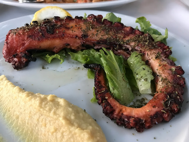 Barba Yioryis Tavern - Γαστρονομία και φιλοξενία