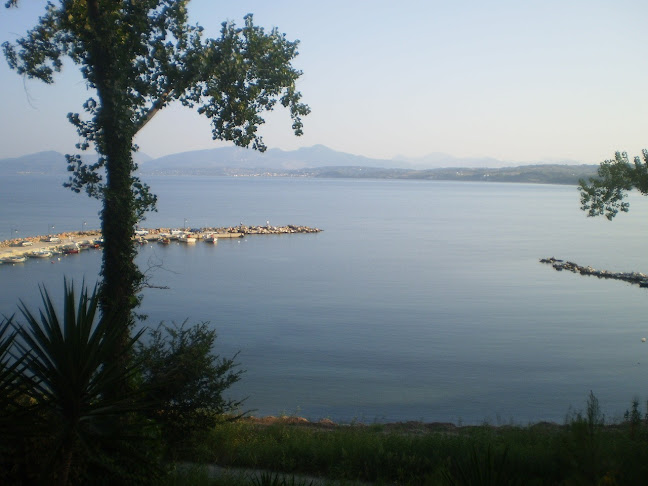 Comentarii opinii despre ΜΑΙΣΤΡΑΛΙ ΕΣΤΙΑΤΟΡΙΟ ΨΑΡΟΤΑΒΕΡΝΑ ΜΥΤΙΚΑΣ ΠΡΕΒΕΖΑΣ,MAISTRALI FISHERIES RESTAURANT MITIKAS PREVEZA