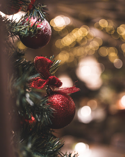 Comentarii opinii despre Carte Postale