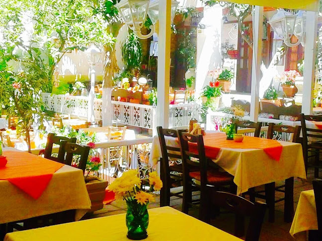 Opinii despre VASILIS RESTAURANT în Ρόδος - Γαστρονομία και φιλοξενία