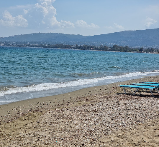 Φάρος - Γαστρονομία και φιλοξενία